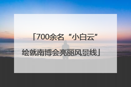 700余名“小白云”绘就南博会亮丽风景线