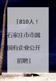 810人！石家庄市市属国有企业公开招聘